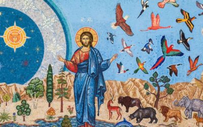 Sint Franciscus’ ‘Het ‘Zonnelied door hedendaagse kunstenaars’ tentoonstelling Leeuwarden