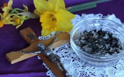 Paus Leo XIV over Veertigdagentijd